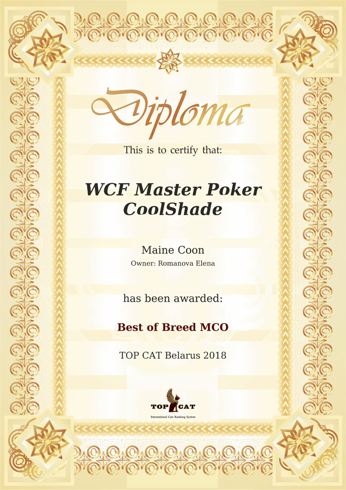 best-of-rating-certificate