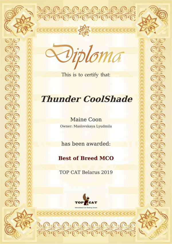 Thunder_best-of-rating-certificate