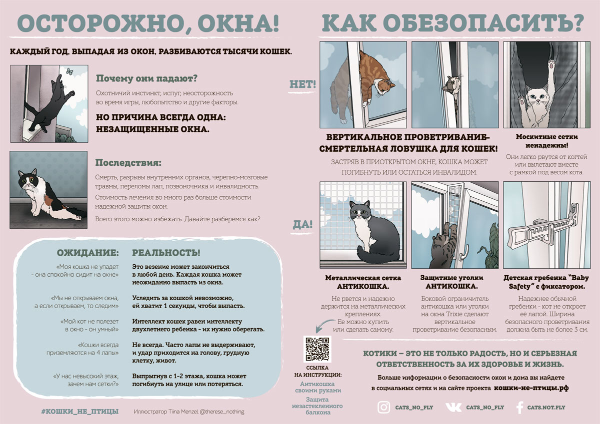 Информационный плакат проекта "Кошки не птицы