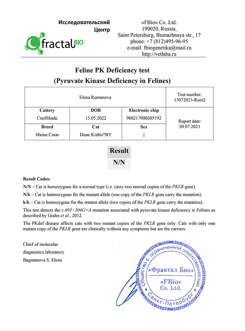 DNA test for PKDef