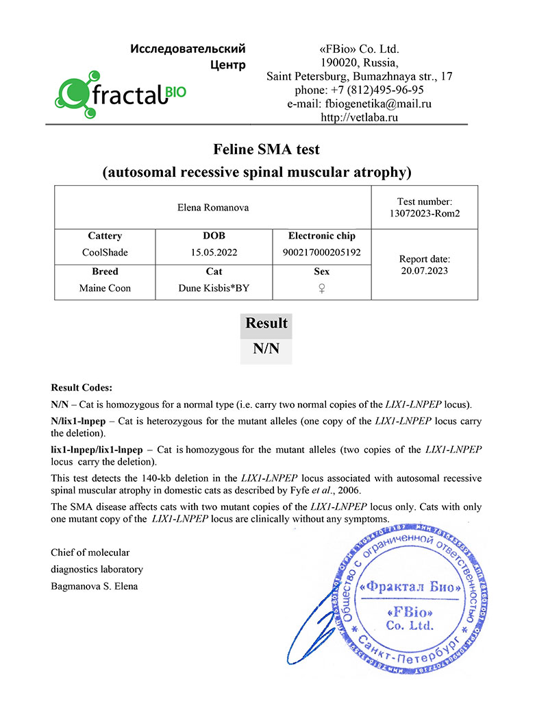 DNA test for SMA